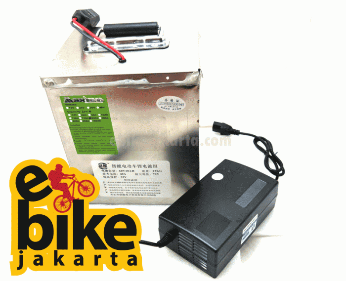 Baterai Mesin Sepeda Listrik ebike Kits LifePo4 60V 20Ah dengan Case dan Charger (P2132)